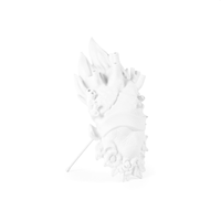 Holy Love in Bloom Vase - White Porcelain Anatomical Heart by Seletti