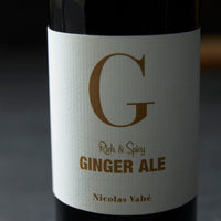 Ginger Ale by Nicolas Vahe