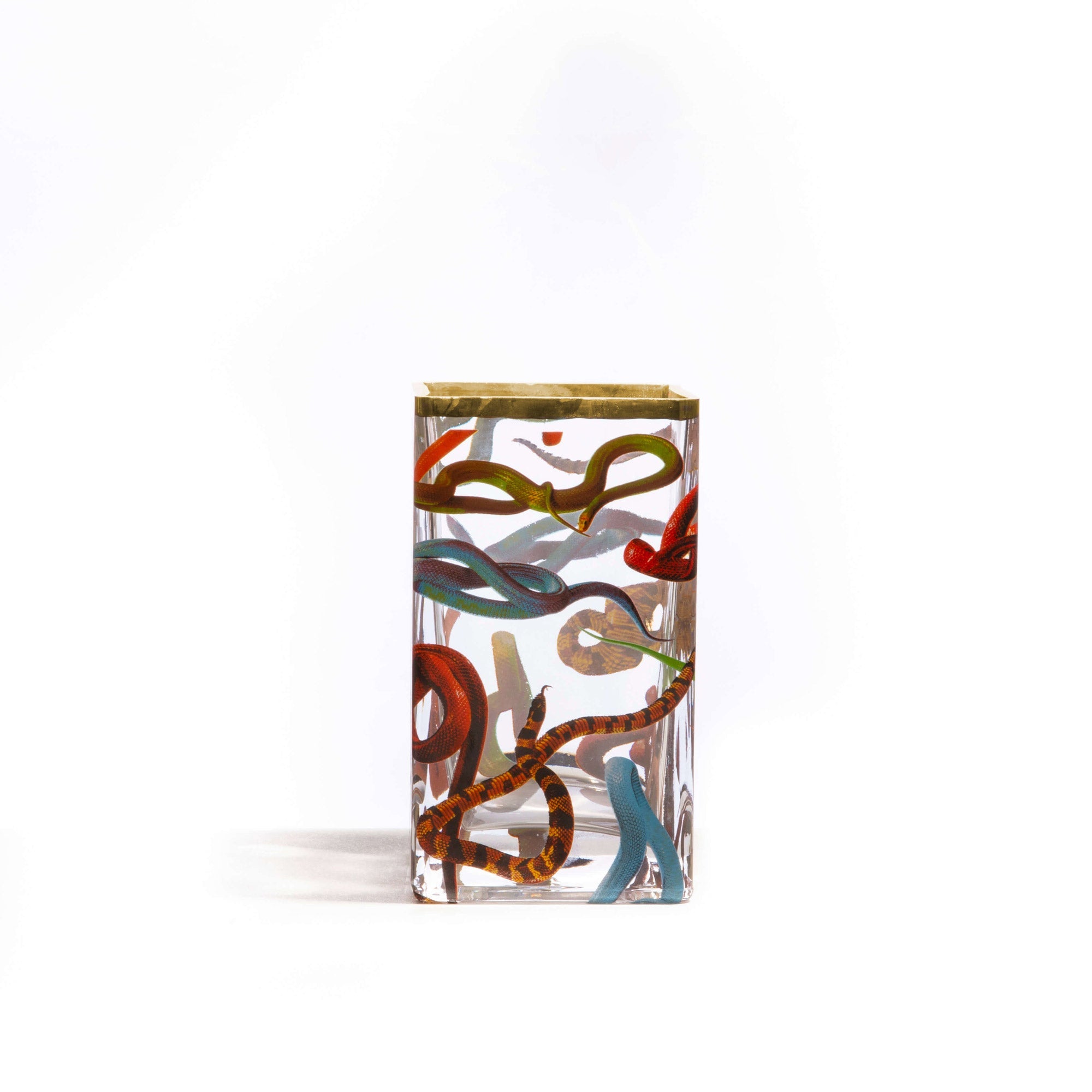 Seletti x TOILETPAPER Square Glass Vase - Medium & Large
