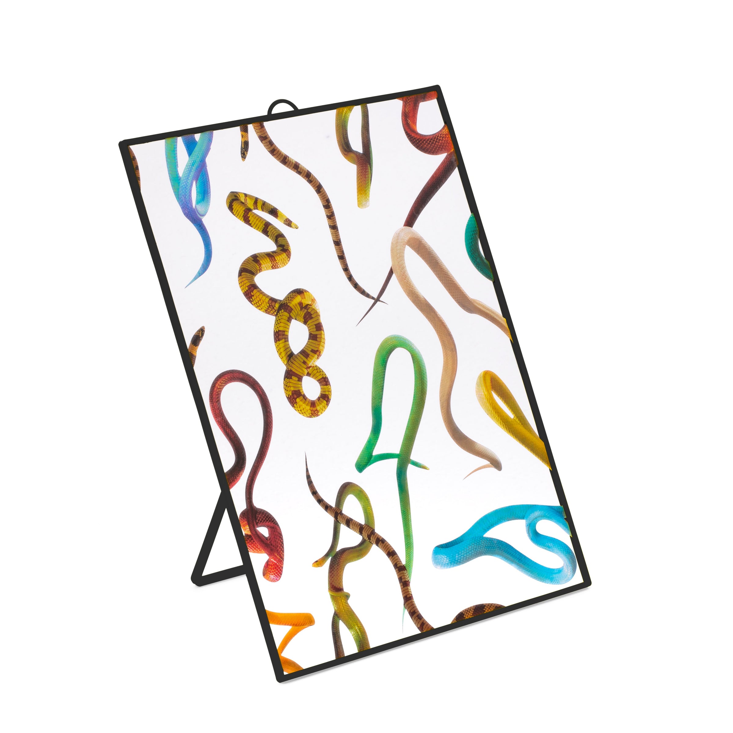 Medium Seletti TOILETPAPER Plastic Mirror - Multiple Designs (22.5 x 29.5 cm)