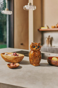 Acacia Bowl, Apple Shaped, HKLIVING