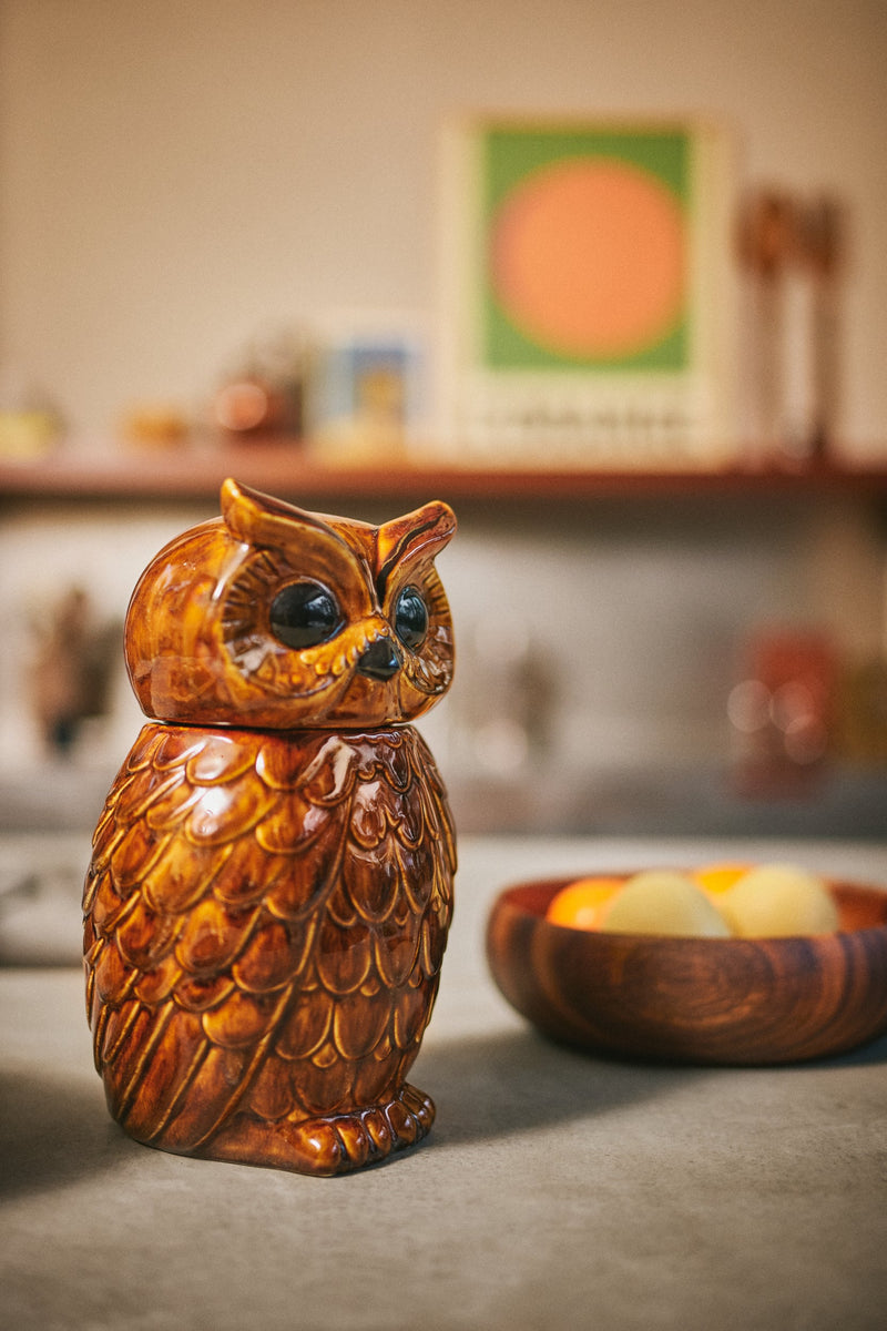 HKLIVING ceramic owl storage jar in roasted brown stoneware, styled on shelf
