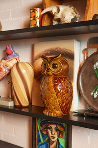 HKLIVING ceramic owl jar roasted brown stoneware, close-up detail in styled setting

