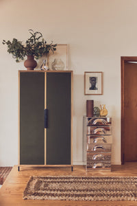 Pioneer Canvas Cupboard - Green Wooden Storage Cabinet with Canvas Doors by HKLIVING