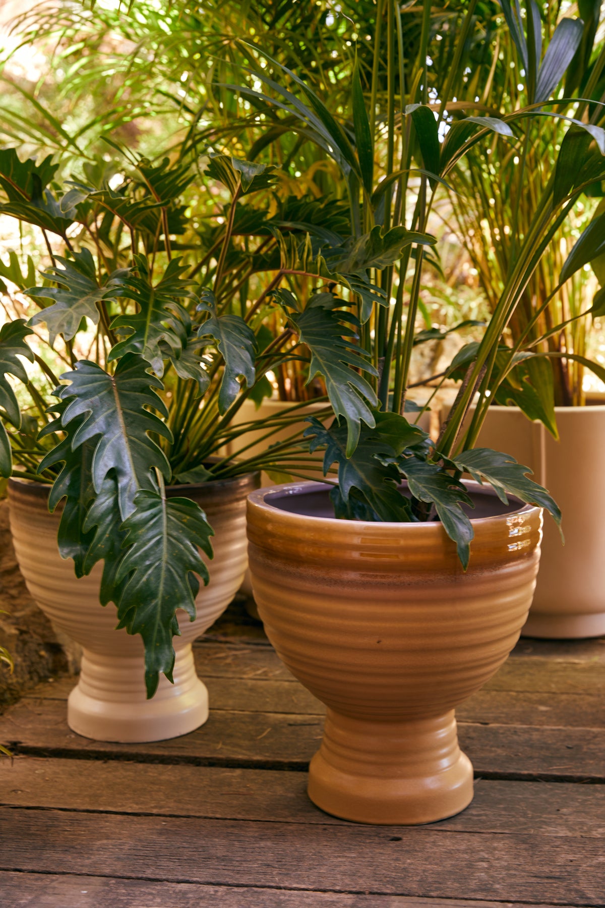 HKLIVING stoneware pedestal planters planted with tropical plants on a wooden deck