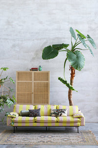 Cushion Kyoto, (35x60)