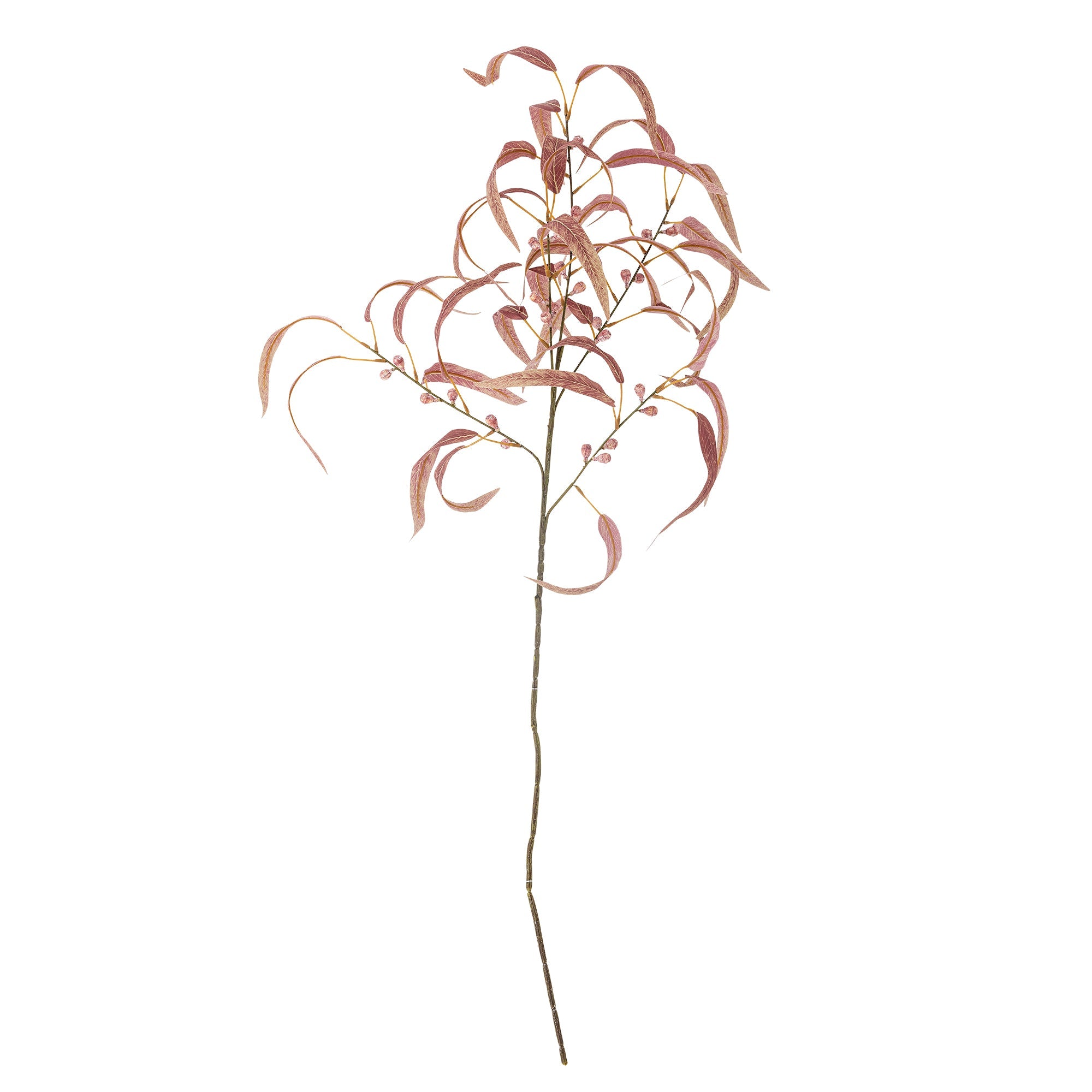 artificial red eucalyptus stem