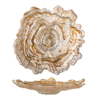 Decorative glass dish with a shell-like design on a white background