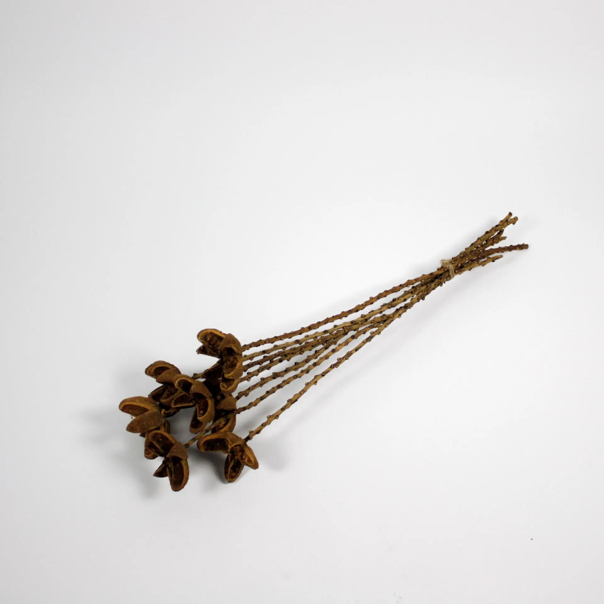 Orange Twig 7-Pack - Dried Decorative Twigs for Year-Round Home Decor