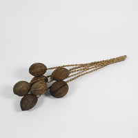 Mintola Twig 7-Pack - Dried Decorative Twigs for Year-Round Home Decor