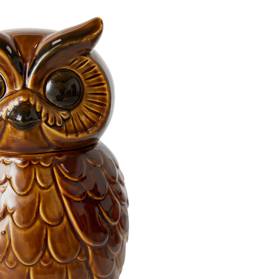 HKLIVING ceramic owl jar roasted brown, close-up detail of owl face and feather texture
