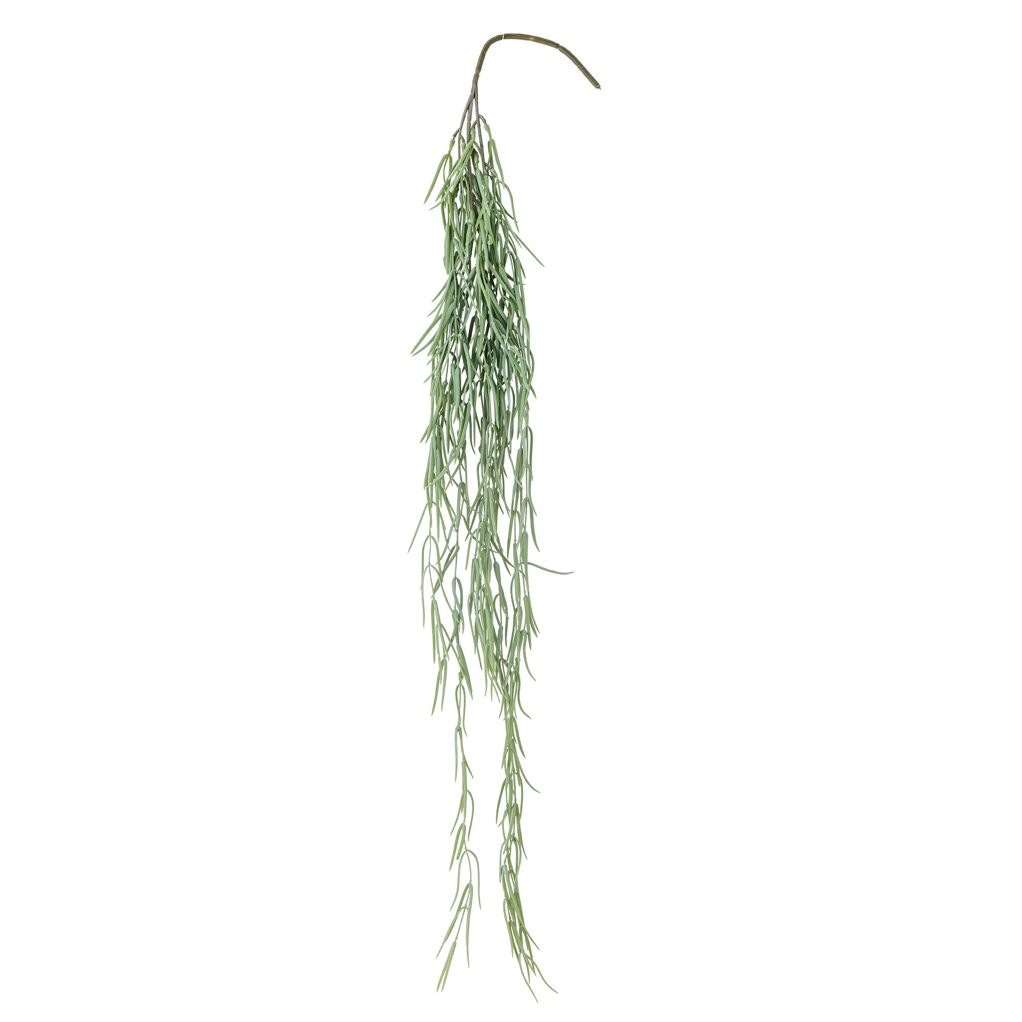 Green artificial tilandsia stem draped over wooden surface