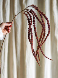 Foxtail artificial stems in red and green tones held in hand