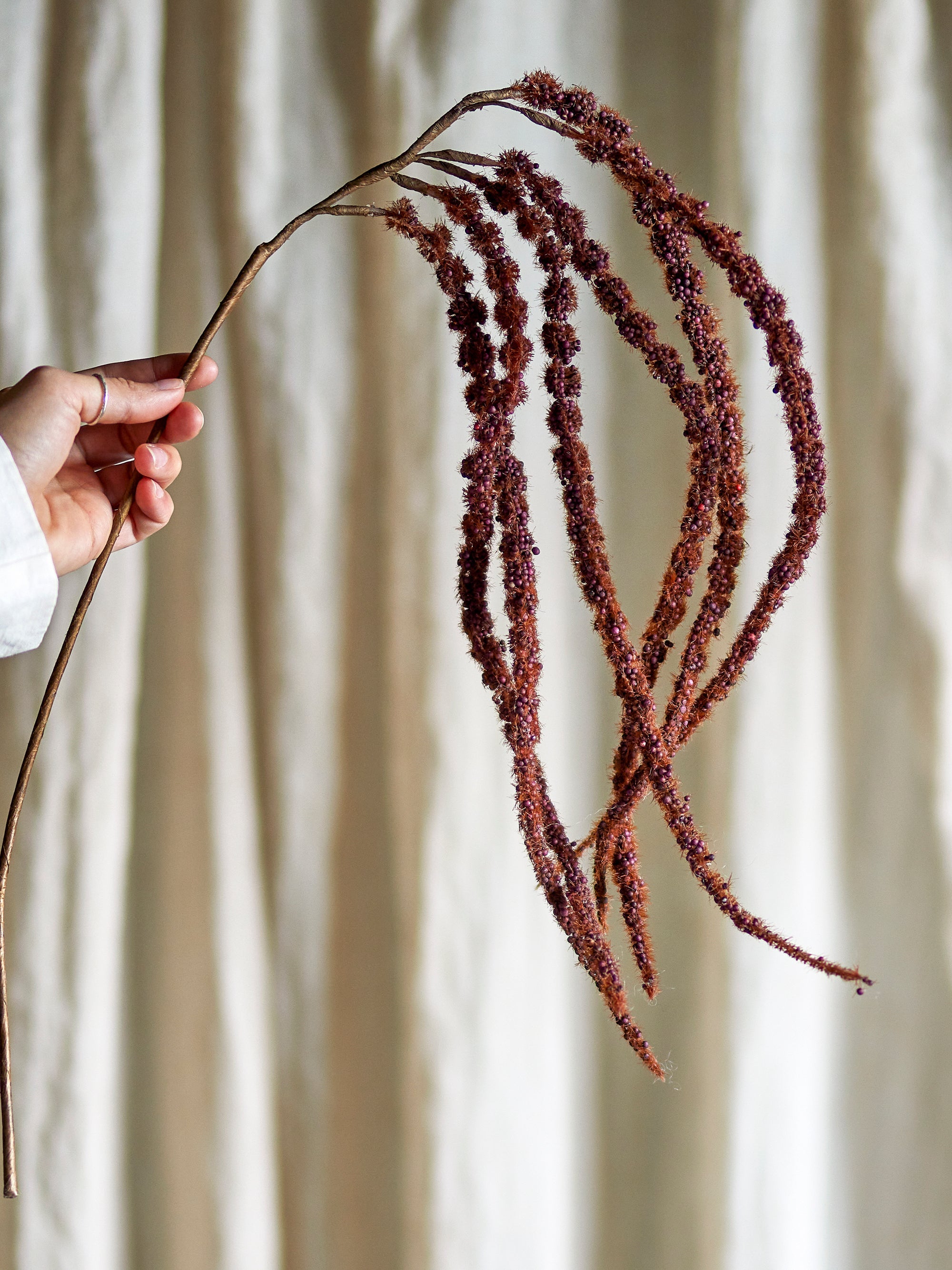 Foxtail artificial stems in red and green tones held in hand