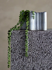 Faux trailing pearl plant styled in ceramic pot