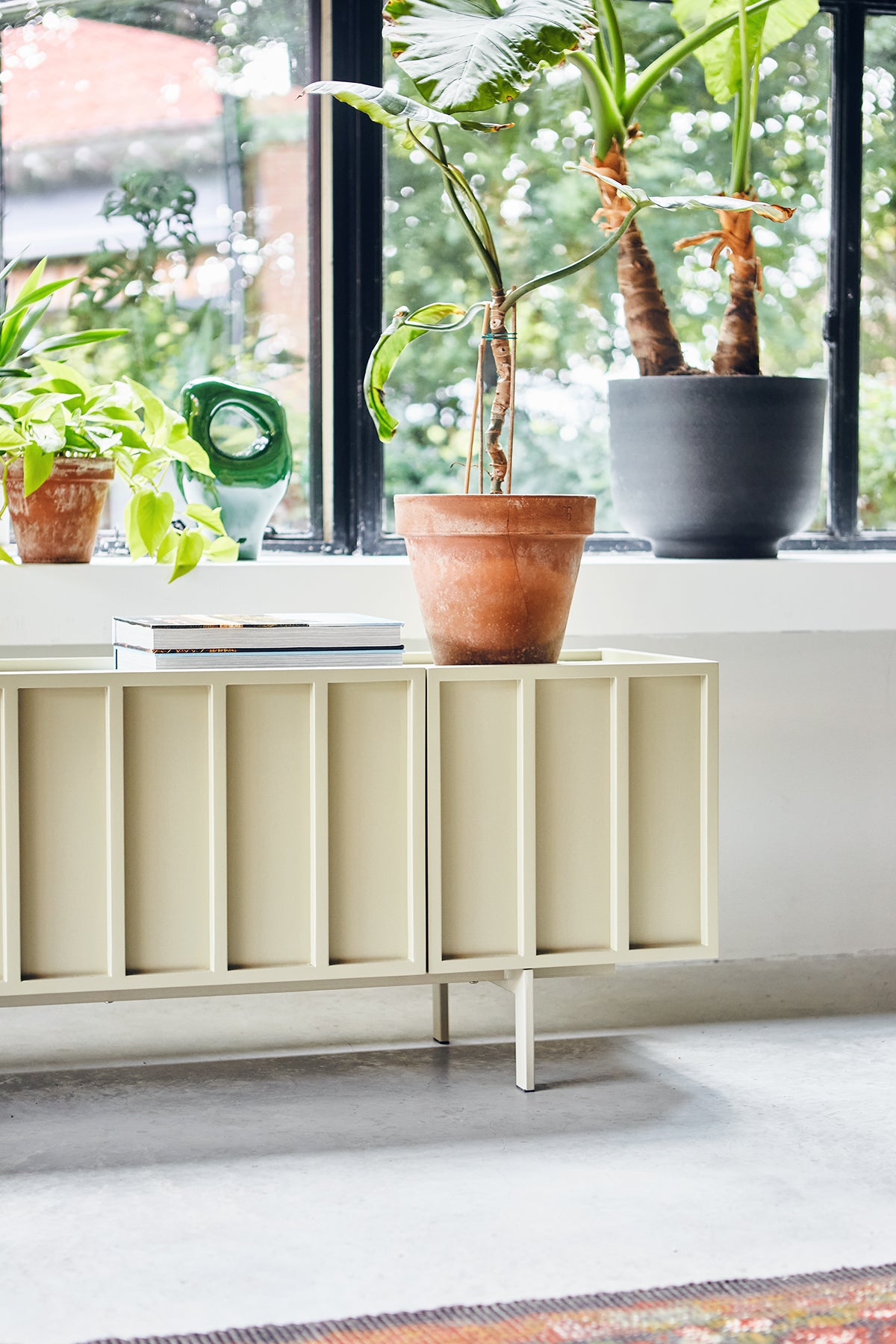 Pebble grey green HKLIVING lowboard beneath a large window, styled with terracotta pots and houseplants