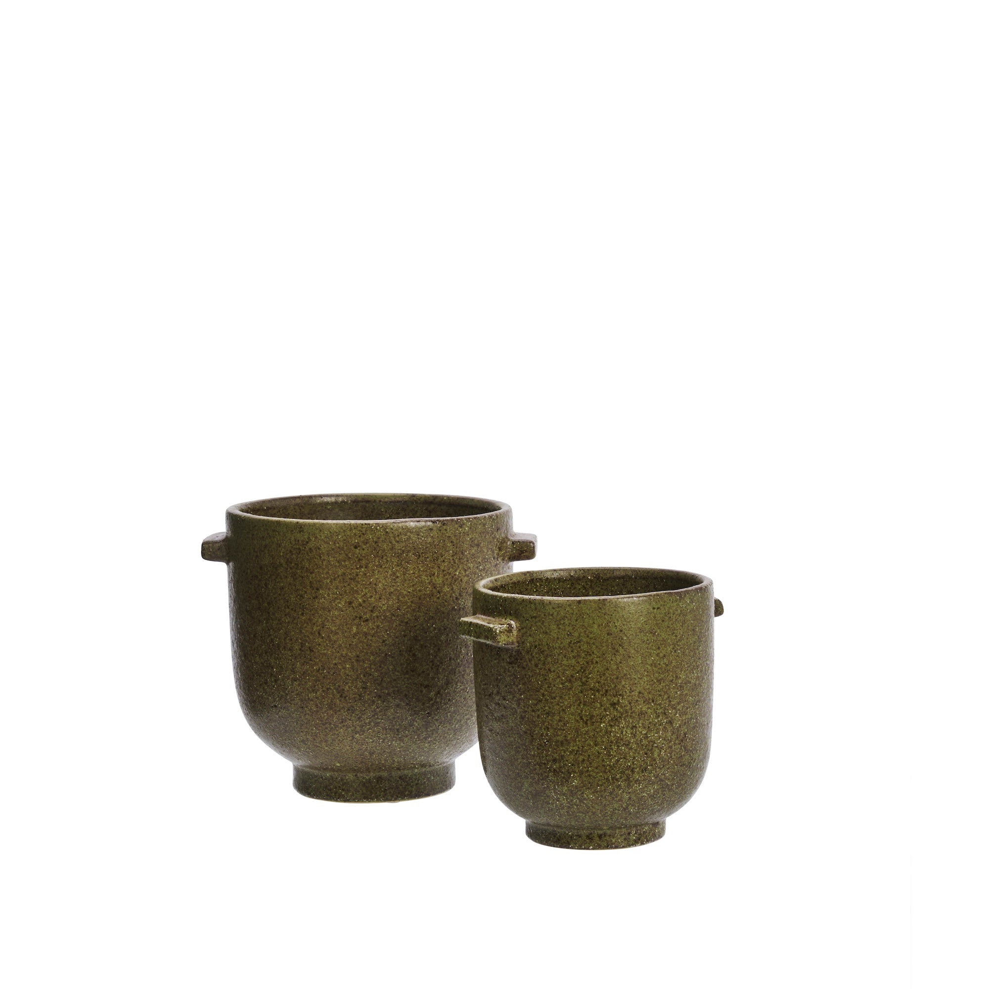  large olive stoneware pot holding tall cactus-style plant on white background
