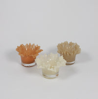 Loa ruffled glass tealight holders by Olsson & Jensen in peach, beige and vanilla