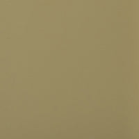 Cupboard by HKLIVING in Olive Green