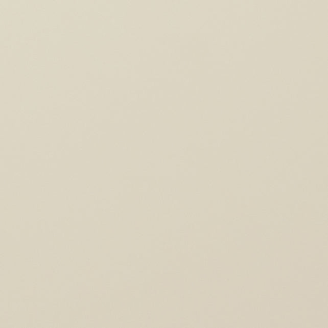 Solid light gray color swatch