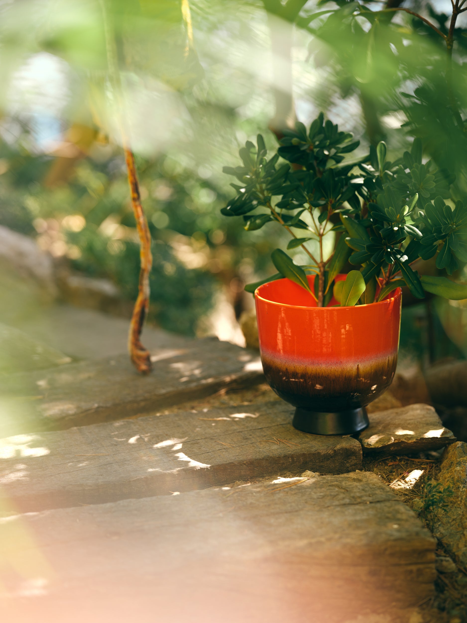 retro flower pot in cherry red by HKLIVING styled with green plant outdoors
